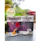 Kẹo mút Sambucol giảm ho cho bé từ 2 tuổi Sambucol Soothing Throat Pops 8 chiếc