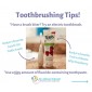 Bàn chải điện Jack N Jill Sonic Electric Toothbrush cho bé từ 0-6 tuổi