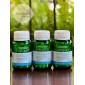 Viên bổ sung Omega 3 thuần chay từ dầu tảo Naturopathica Vegan Omega 3 60 viên