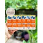 Xịt mũi giữ ẩm khoang mũi, chống viêm mũi FLo Nozoil Nasal Spray 15ml