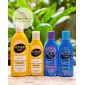 Dầu gội giảm gàu, nấm đầu Selsun Anti-Dandruff Treatment Shampoo
