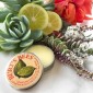 Sáp dưỡng móng tay Burt’s Bee Lemon Butter Cuticle Cream 17g